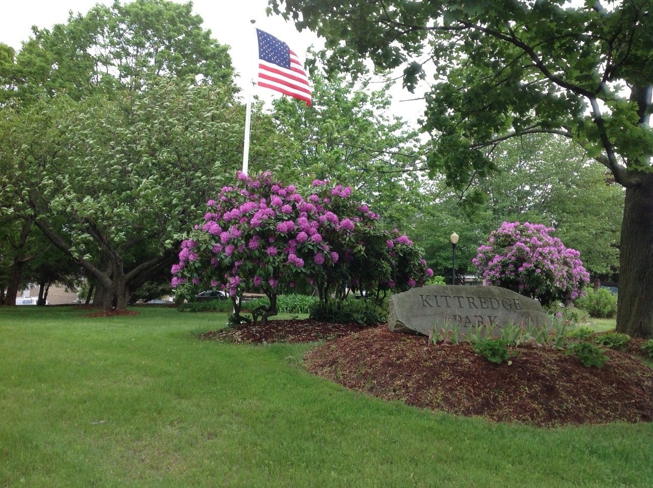 Life From The Roots Kittredge Park, Lowell, Massachusetts