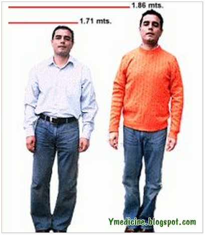What Kind Of Food Make You Grow Taller What Kind Of Food Make You Grow Taller