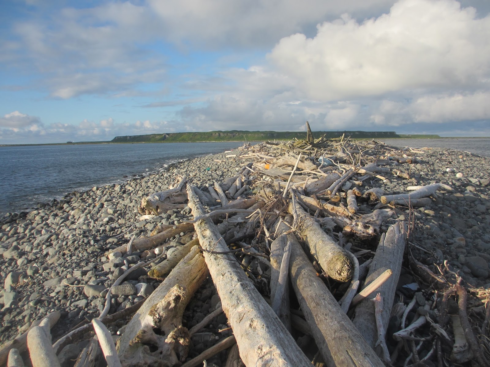 Middleton Island, Gulf of Alaska