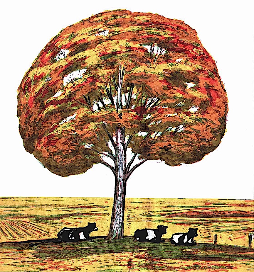 a Richard Gates book illustration a Richard Gates color book illustration of resting cows under an autumn tree