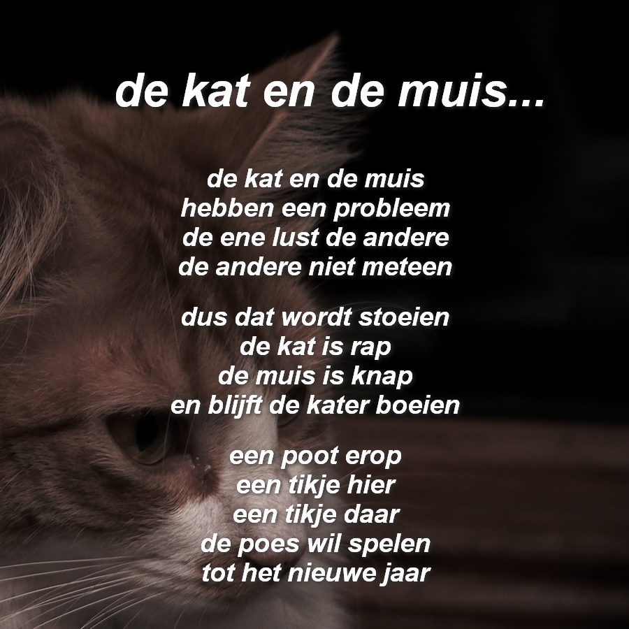 Welp Gedichten in beeld...: de kat en de muis... OD-03