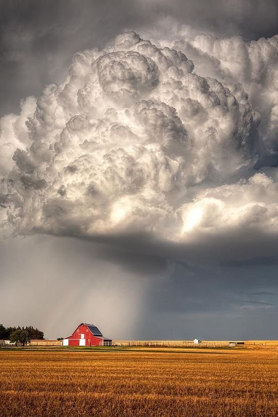 Thick cumulonimbus builds on the plains of red barn in Ellis County Kansas.