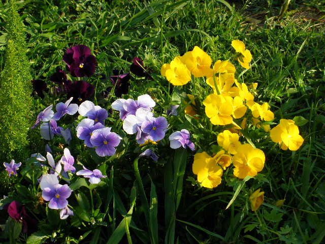 Entretejiendo Caminos: octubre 2011