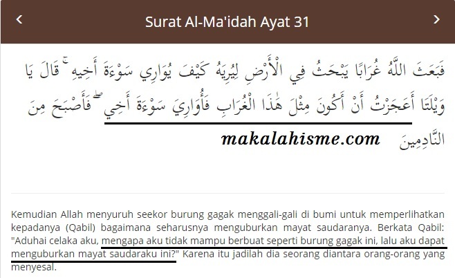 Mukjizat Pengertian Macam Macam Dan Segi Segi Kemukjizatan Al Qur An Mencari Pendidikan