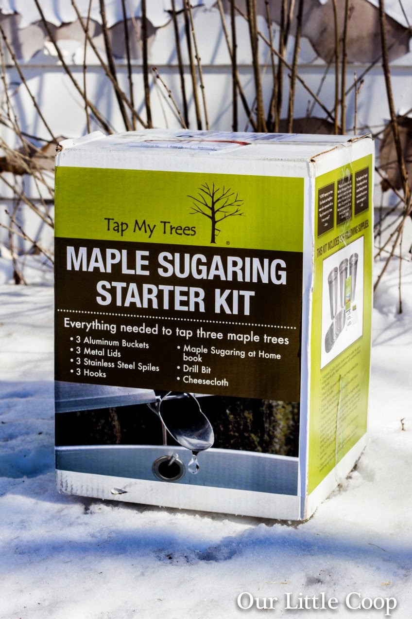 Our Little Coop Tap My Trees "Maple Sugaring Starter Kit" Kevin's review