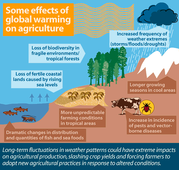 Ontong Java Climate Change ENGLISH IS EASY: Climate Change - Glossary