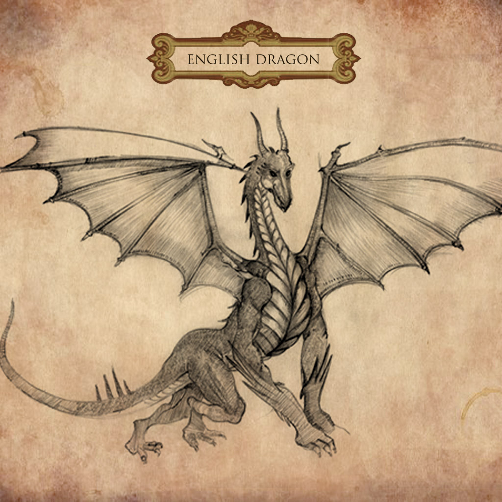 глагол be в английском языке 3 класс. глагол to be дракон. анатомия дракона. Present continuous дракончик. год дракона перевод на английский.