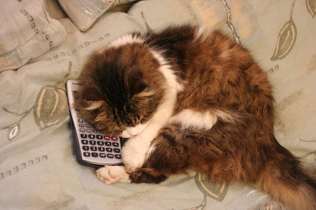 Cat and Calculator - Top View by Felix Idan from flickr (CC-NC-ND)