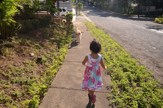 Kecil on the sidewalk following the Dog