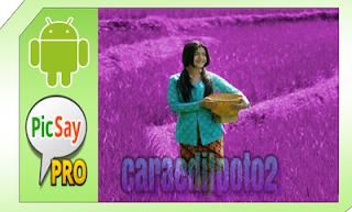 Tutorial Edit Foto Merubah Warna Objek di Picsay Pro Android