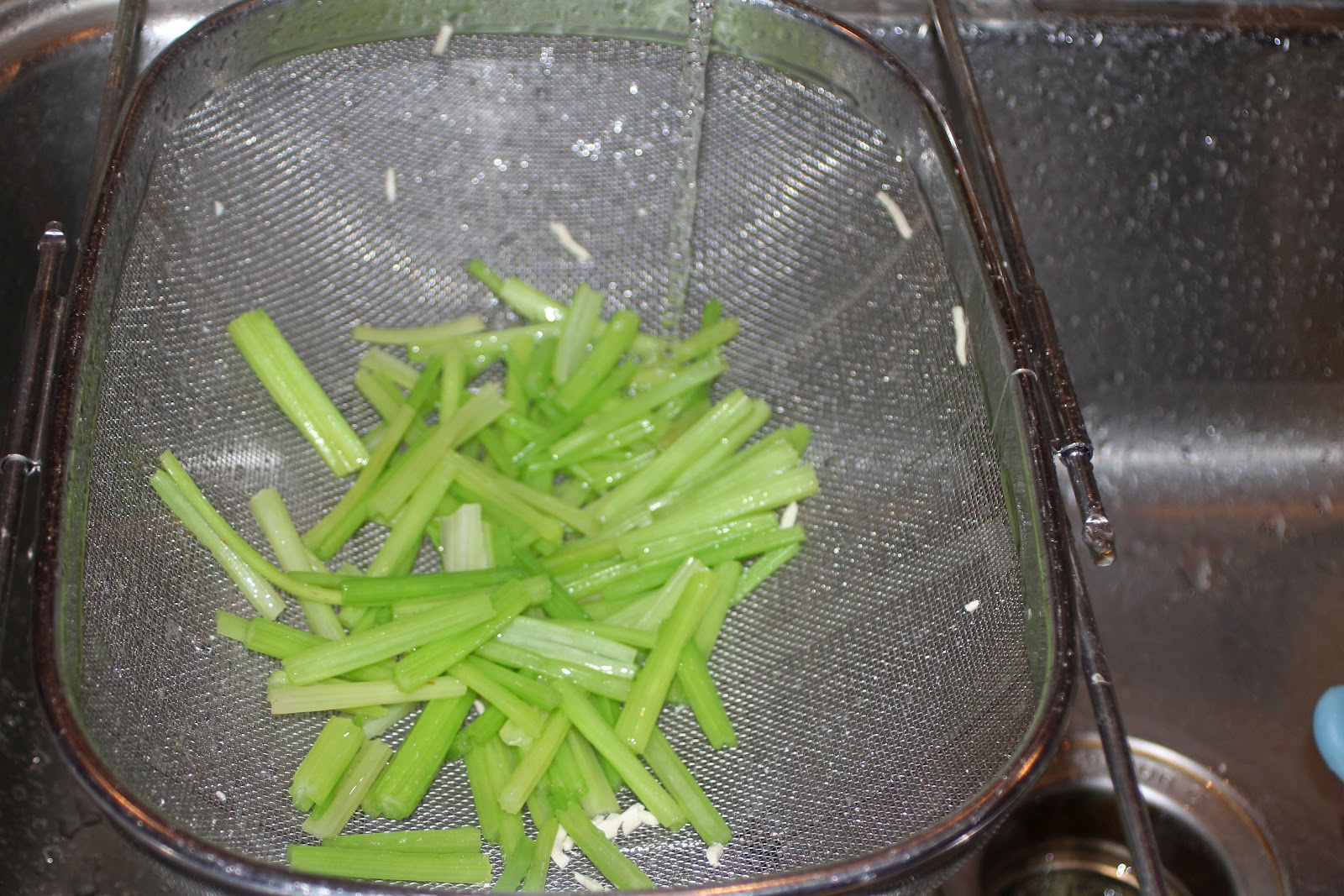 The Grub Files Cooking with Camissonia Shredded Bean Curd Salad with