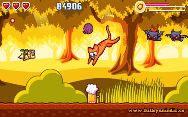 Flying Hamster
