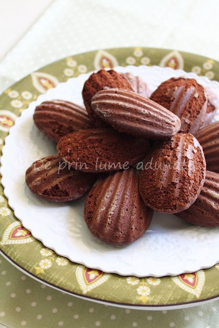 Madeleines cu ciocolata si unt maroniu/ Chocolate Brown Butter Madeleines