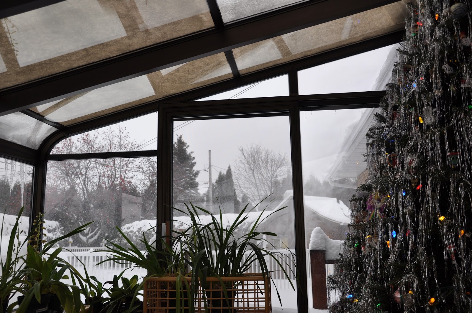 Vraie fiction: Le Noël (presque) parfait...