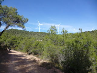 Inicio de la ruta del Císter