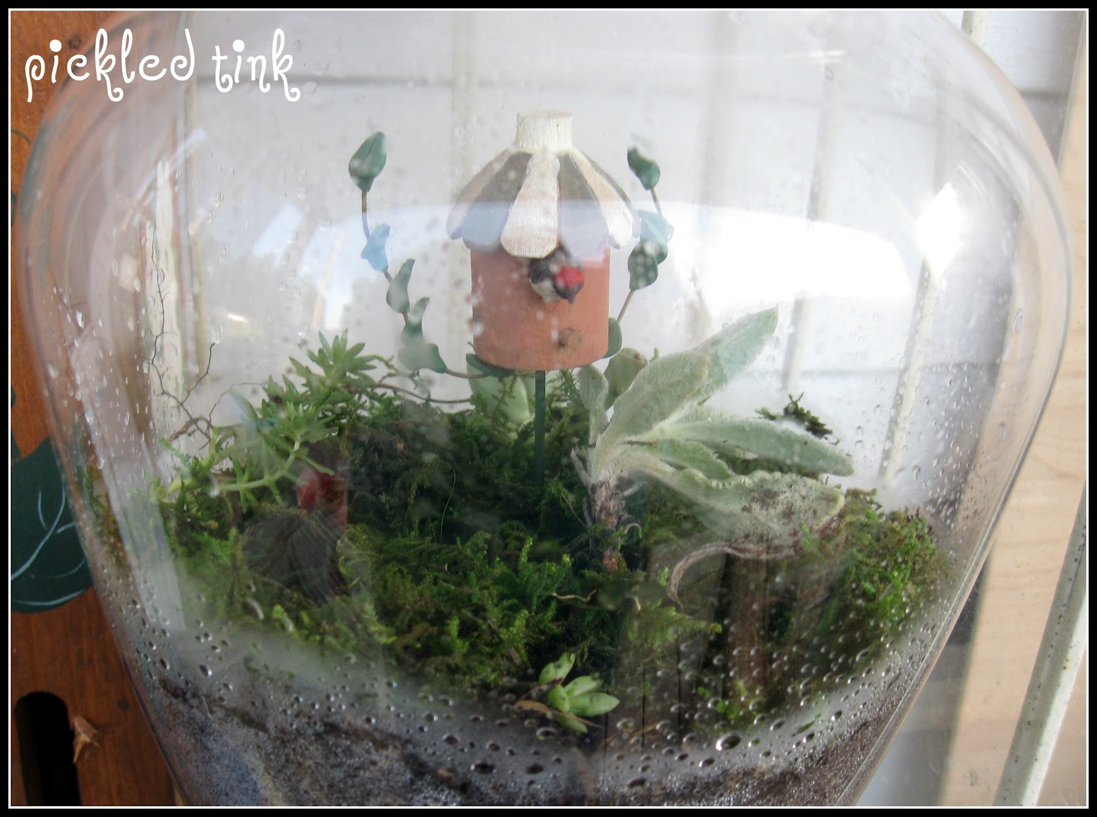 Bottle Terrariums Glass House