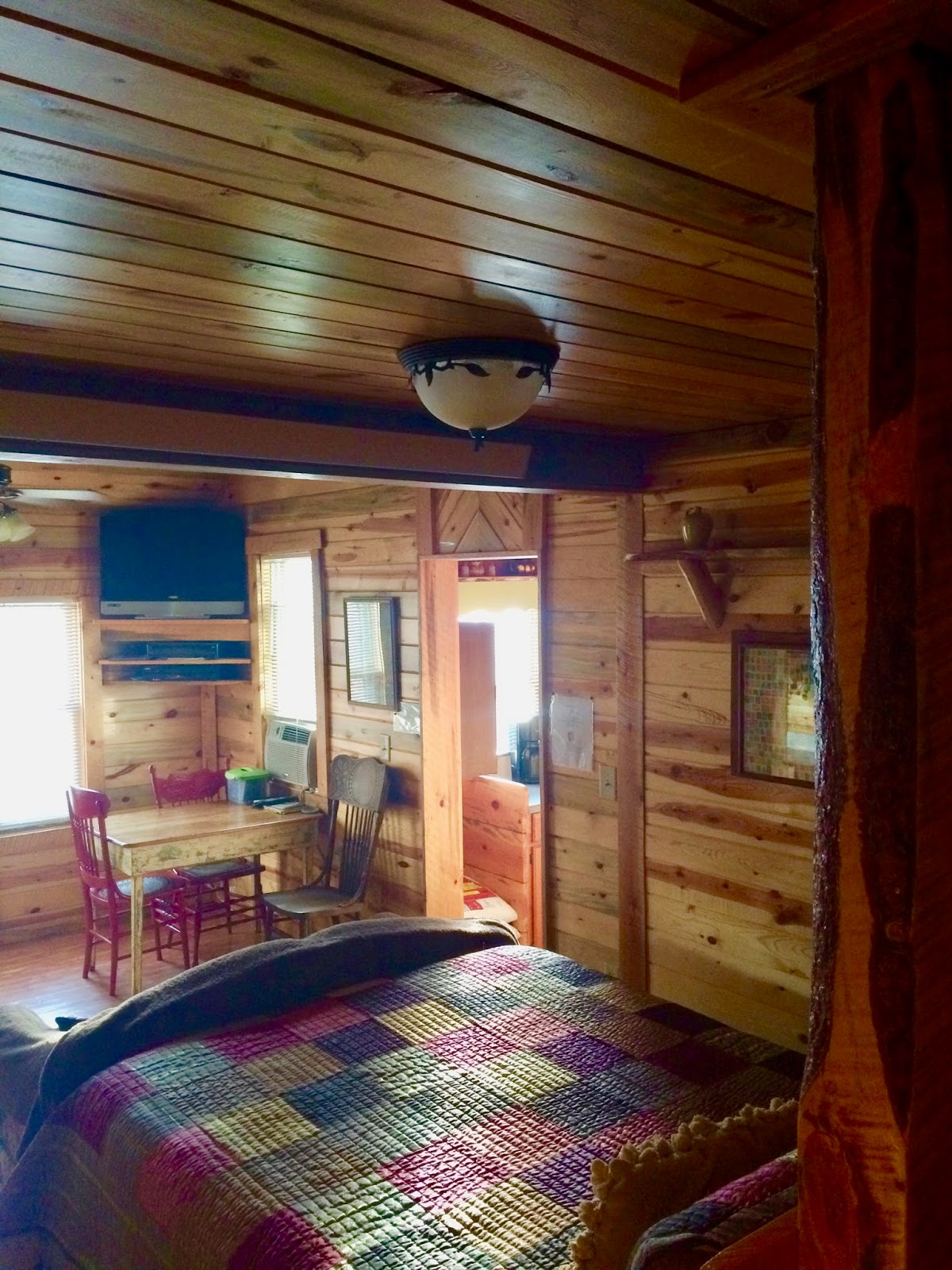 Black Hills Home Cabins Hill City South Dakota Chessie Cabin