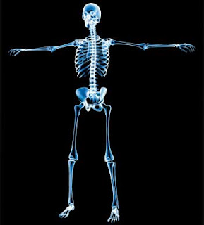 Esqueleto y biologia