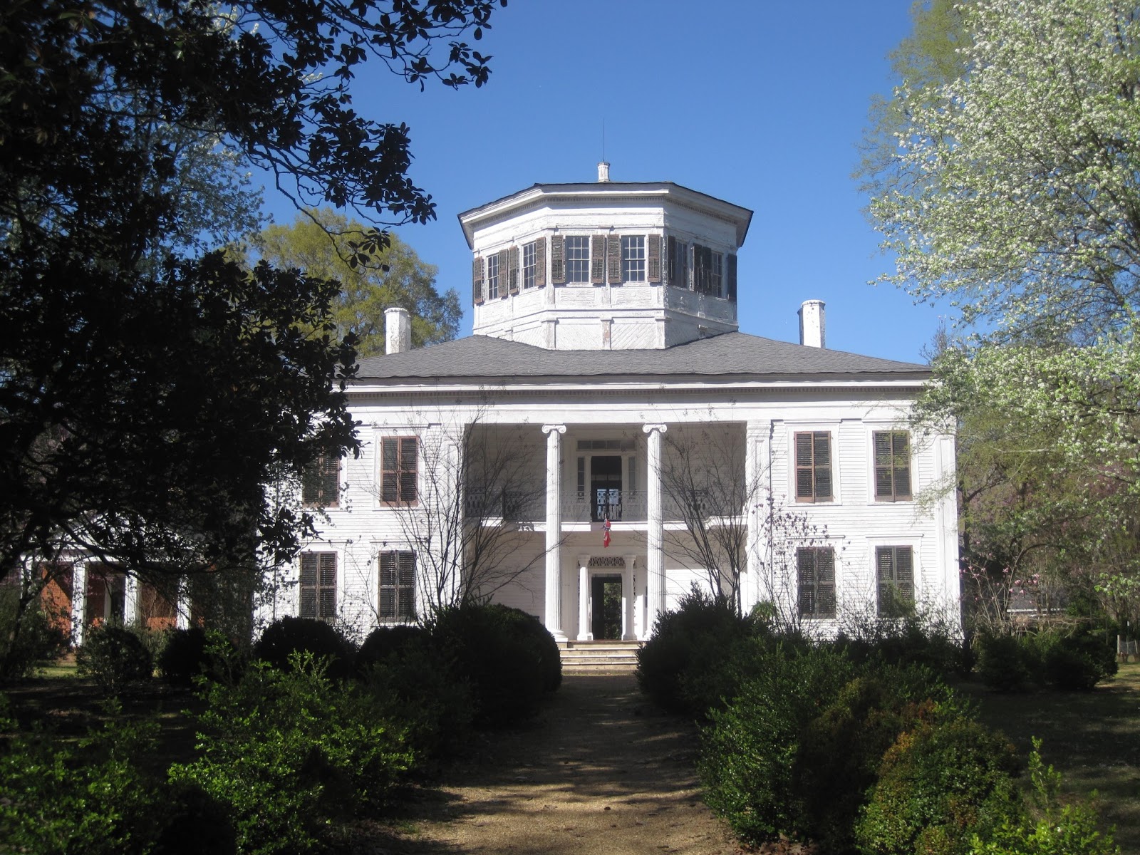 Scattered Grace Waverly Plantation
