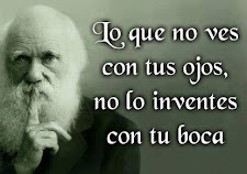 reflexiones