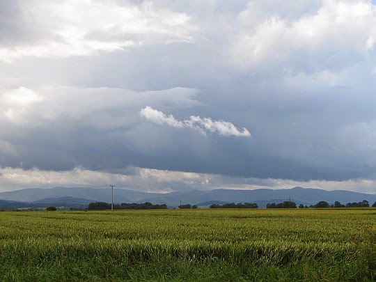 Zlatohorská vrchovina widoczna z drogi do wsi Łąka.