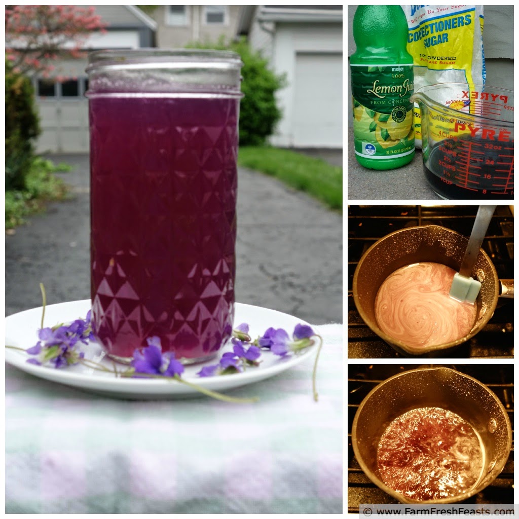 collage image of making wild violet syrup