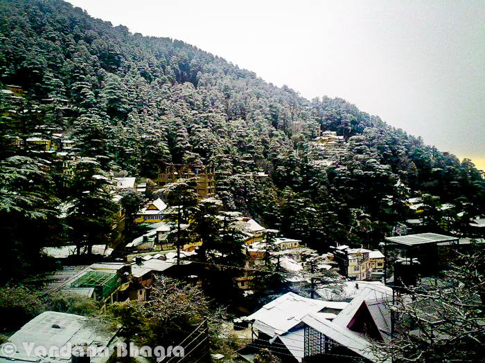 Finally the much awaited snowfall has happened. A breather for locals who were looking towards the sky for this long, dry spell to end and a welcoming gesture for tourists who were waiting for a white Shimla. This will also help the tourism industry recover from a lean Christmas and New Year season as never seen beforeHere are a few snapshots taken at Jakhoo, the highest point of Shimla, which also is the first area to receive snowfall. The falling snowflakes make for an awesome feeling as cold drops form on your face and a look towards the sky causes a dizzying effect leaving you elated and happyThe pleasure of playing in the snow and making a snowman, well decorated with coal (for eyes), carrot (as its mouth), a cap and a scarf was quite something. Age old memories of running in the snow, throwing snowballs and best of all sledging are now all forgotten but refreshed with each fresh fall. Children these days don't enjoy snow as we did and neither are they excited about it. Another reason being that we don't have heavy snowfalls as we used to.But its a start so enjoy it whenever you get the chance as I have seen the excitement and glow with which my daughter plays in the snow today. Photographs in this Photo Journey are shared by various folks from Shimla, who witnessed the snowfall. Wonderful write above is done by Vandana Bhagra !! and Photographs by Vandana Bhagra, Sanjeev Sharma and Gaurav SoodHere is a photograph with snow covered trees on Shimla Mountains - By Gaurav Sood !!!At this point of time, when I compiling this Photo Journey, folks from Shimla must be enjoying on Mall Road and in case you are one of them & tired of walking here and there, Go to Viva Rest-o-Bar to have some drinks/snacks. I can't forget the golden college days when we used to walk down to HP University from Totu... Especially the area between Boileuganj and Summerhill used to be one of the awesome places to play with fresh snow :)HAPPY SNOWFALL AGAIN TO ALL !!! 