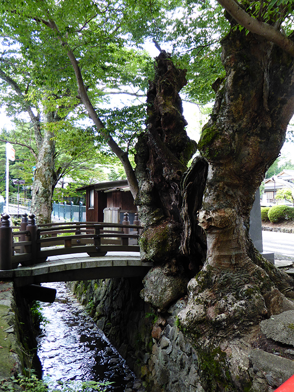 Einen Drachen stehlen: Koyasan