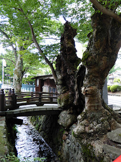 Einen Drachen stehlen: Koyasan