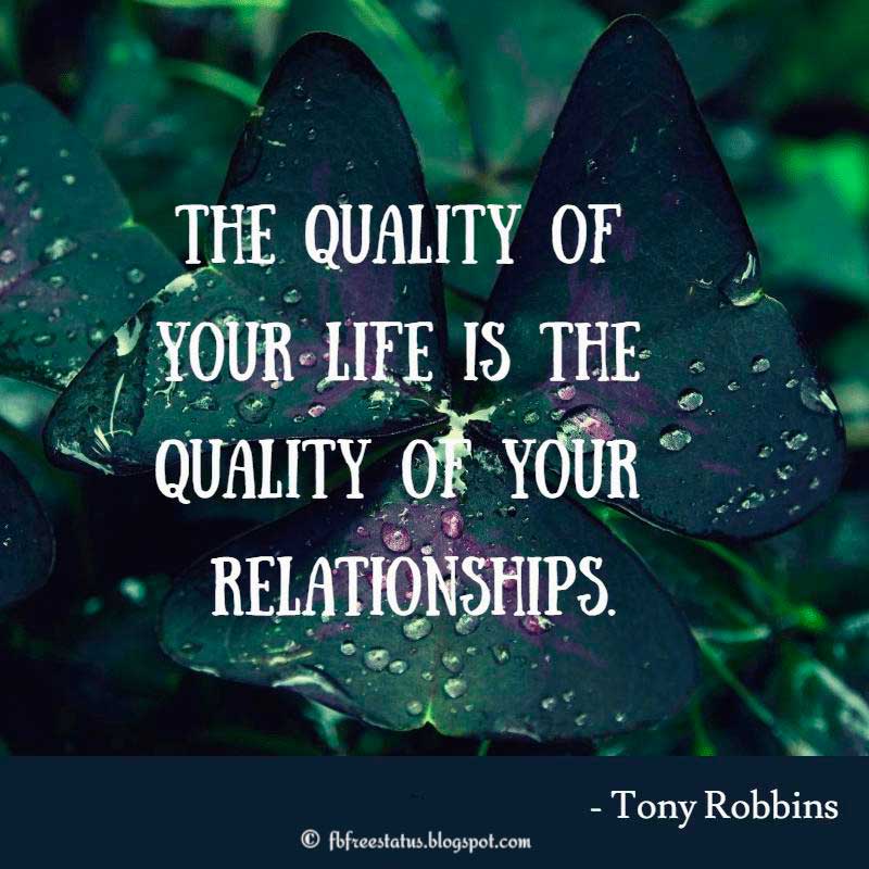 The Quality Of Your Relationships Quote Relationships Quotes About Love and Loyalty