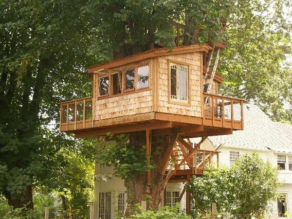 What not to miss in the tree house