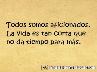 frases perronas frases perronas