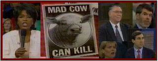 Mad Cow Disease What You Need to Know
