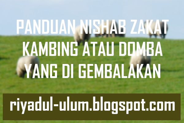 Panduan Nishab Zakat Kambing Atau Domba Yang Di Gembalakan Riyadul Ulum