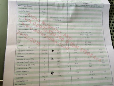 Extreme Oligozoospermia Konsultasi Dan Pengobatan Extreme Oligozoospermia Konsultasi Dan Pengobatan