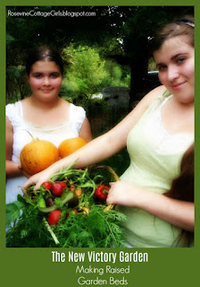 Brianna and Cheyenne in the Raised Bed Garden, Raised Bed Gardening, How To Make A Raised Bed Garden, Cheap Raised Bed Gardening, Raised Bed Garden Soil, Square Foot Garden, by Rosevine Cottage Girls