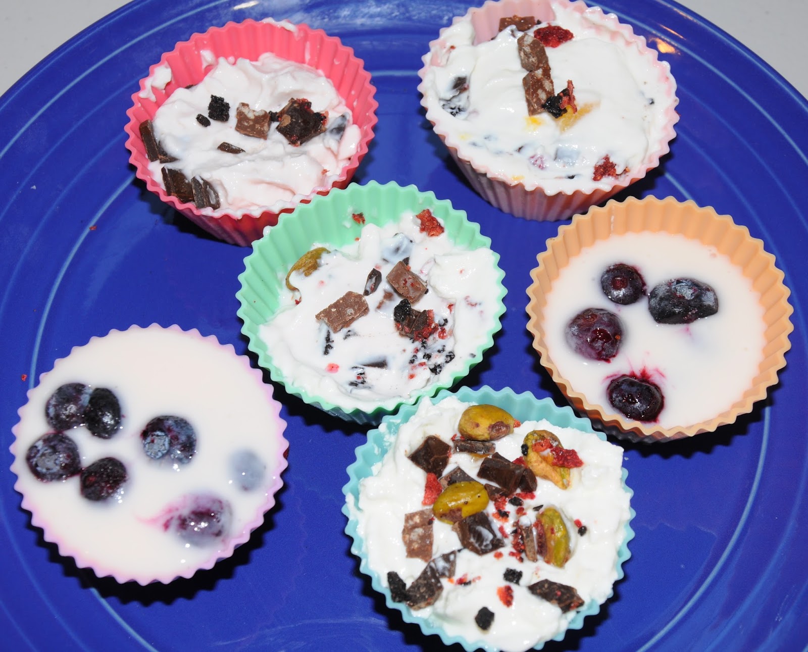 Frozen Yogurt Snacks