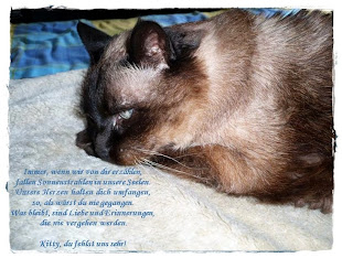 Kitty 24.12.1988 - 20.12.2009