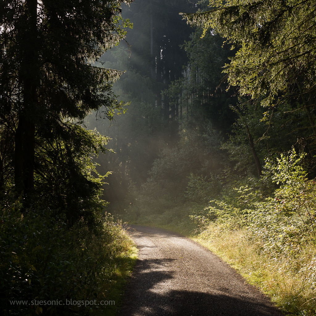 A Hiking Weekend In The Harz Mountains Of Germany Nordic Wanders