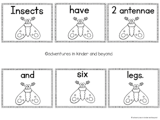 Adventures in Kinder and Beyond: Insects- What I'm Teaching This Week