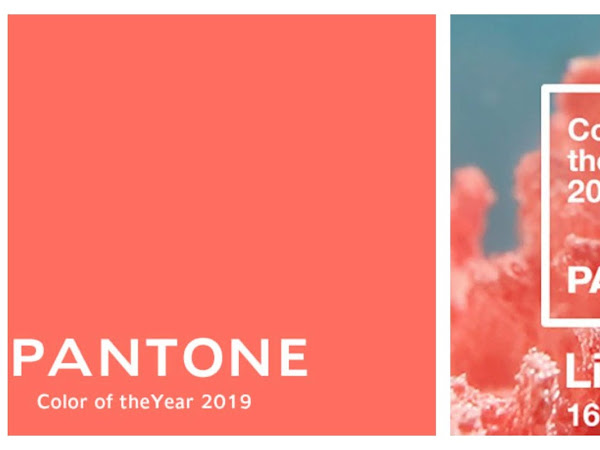 Living Coral - Pantone Colour Of The Year 2019