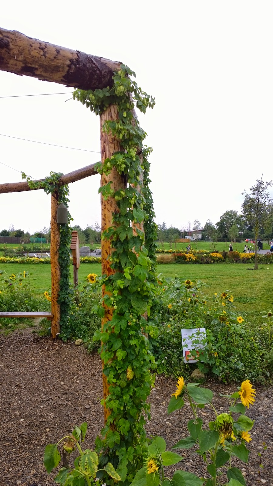 Kotztinger Geschichte N Der Ludwigsberg Mit Dem Ludwigsturm