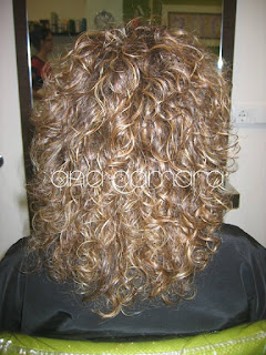 highlights in curly hair 2015