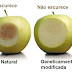Novas maçãs geneticamente modificadas não escurecem