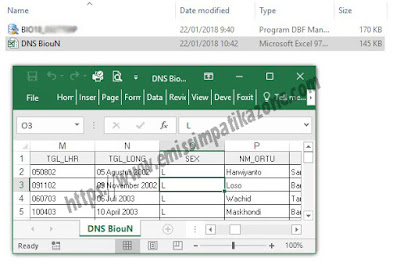 Cara Mudah Membuka dan Convert File DBF BIOUN ke Microsoft Excel