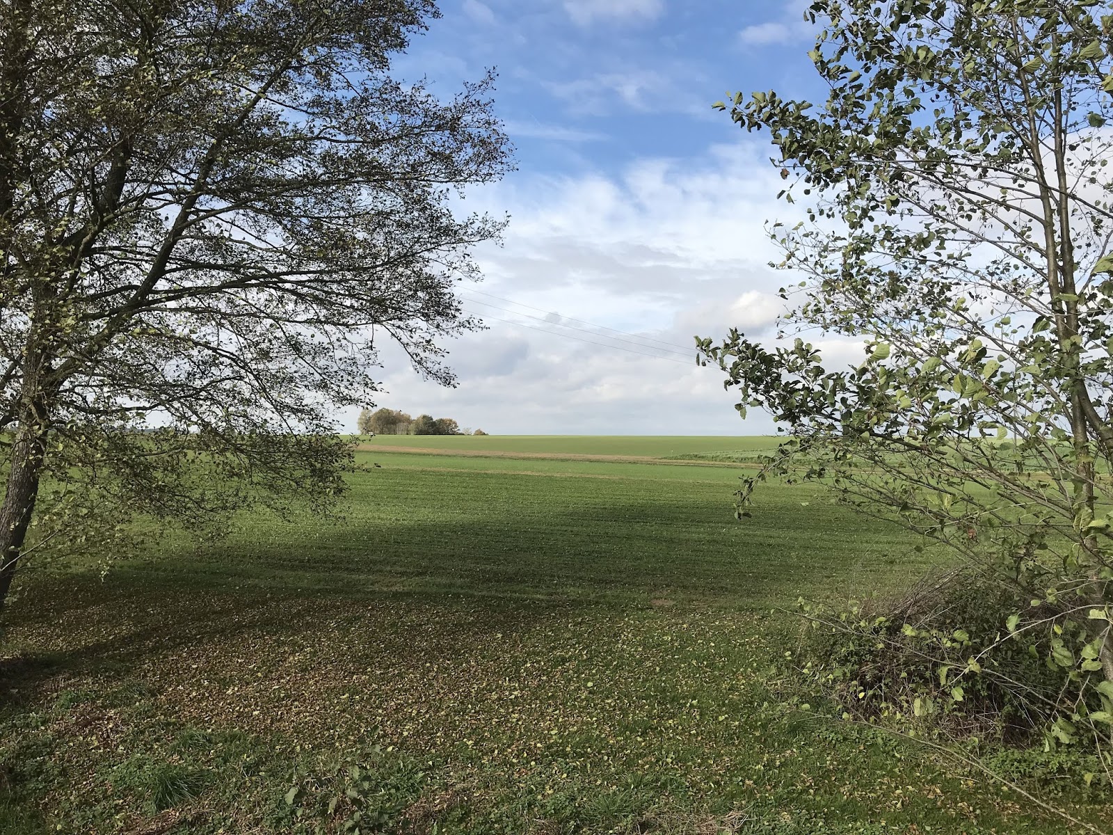 Informations Und Mitteilungsblatt Der Gemeinde Scheyern Pdf