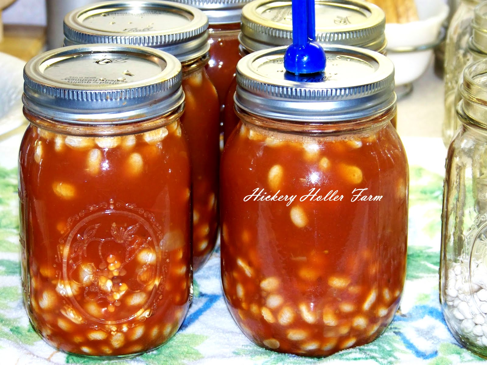Hickery Holler Farm Canning Pork And Beans