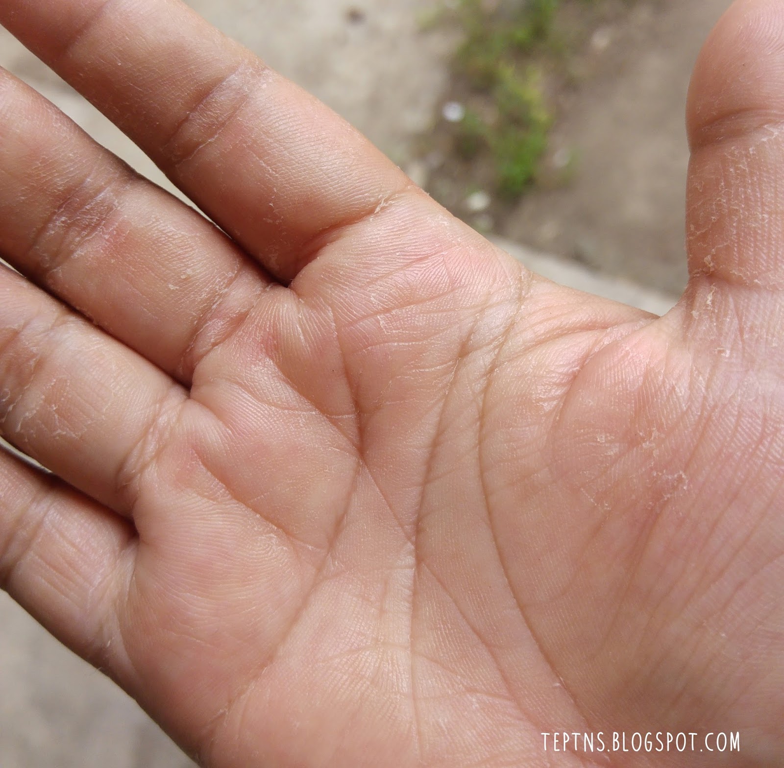 Orange Peeling Lotion Review Tep Tries New Stuff