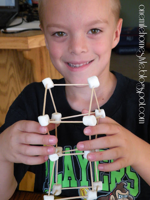 Finished marshmallow  and toothpick building