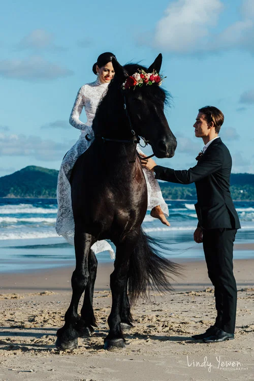 WEDDING HORSE HIRE AUSTRALIA